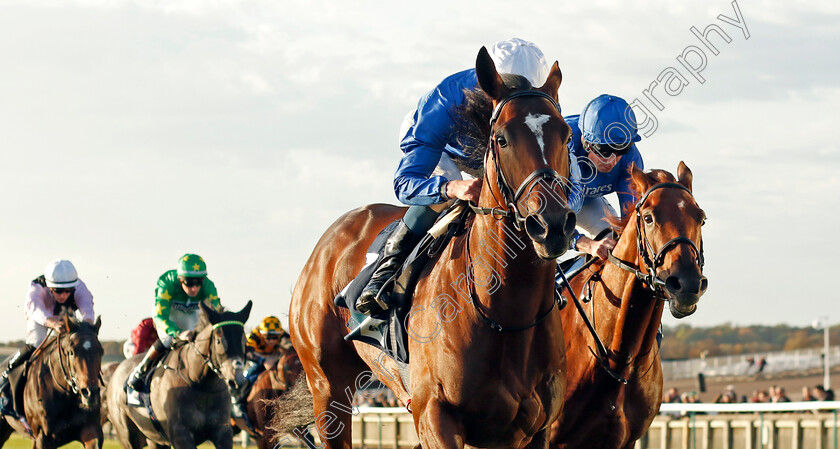 Military-Order-0002 
 MILITARY ORDER (William Buick) wins The British Stallion Studs EBF Future Stayers Novice Stakes
Newmarket 19 Oct 2022 - Pic Steven Cargill / Racingfotos.com