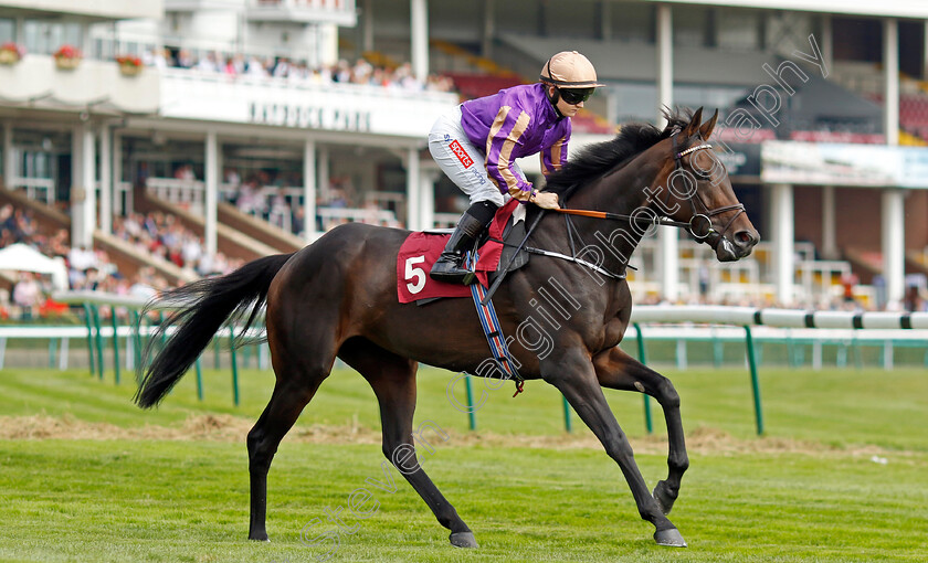 Qoya-0001 
 QOYA (Hollie Doyle)
Haydock 2 Sep 2022 - Pic Steven Cargill / Racingfotos.com