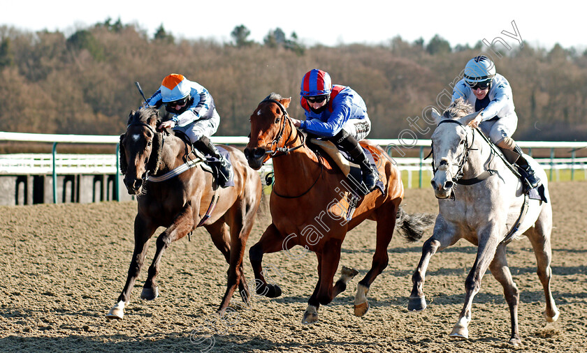 Kingdom-Found-0001 
 KINGDOM FOUND (centre, Daniel Muscutt) beats FINAL FANTASY (right) and EYES (left) in The Get Your Ladbrokes Daily Odds Boost Handicap
Lingfield 26 Feb 2021 - Pic Steven Cargill / Racingfotos.com