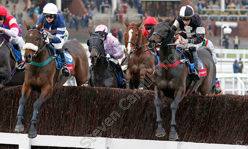 Plantagenet-and-Mr-Mafia-0001 
 PLANTAGENET (left, Gina Andrews) with MR MAFIA (right, Harrison Beswick)
Cheltenham 25 Oct 2019 - Pic Steven Cargill / Racingfotos.com