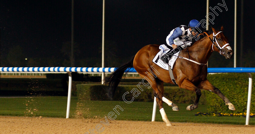 My-Catch-0005 
 MY CATCH (Pat Dobbs) wins The Al Shindagha Sprint Meydan 8 Feb 2018 - Pic Steven Cargill / Racingfotos.com