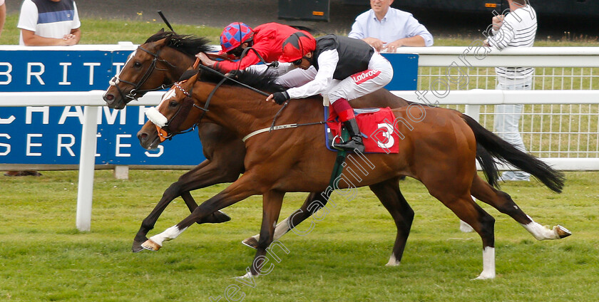 Falcon-Eight-0003 
 FALCON EIGHT (Frankie Dettori) beats MEKONG (farside) in The Coral Marathon
Sandown 6 Jul 2019 - Pic Steven Cargill / Racingfotos.com