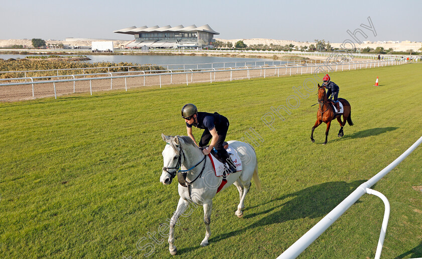 Lord-Glitters-0002 
 LORD GLITTERS (Jason Watson) leads FEV ROVER (Paddy Mathers) exercising in preparation for Friday's Bahrain International Trophy
Sakhir Racecourse, Bahrain 18 Nov 2021 - Pic Steven Cargill / Racingfotos.co