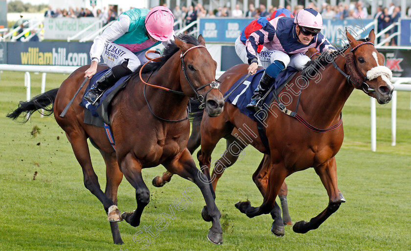 Equilateral-0003 
 EQUILATERAL (left, Ryan Moore) beats QUEENS GIFT (right) in The DC Training And Development Services Scarbrough Stakes
Doncaster 11 Sep 2019 - Pic Steven Cargill / Racingfotos.com