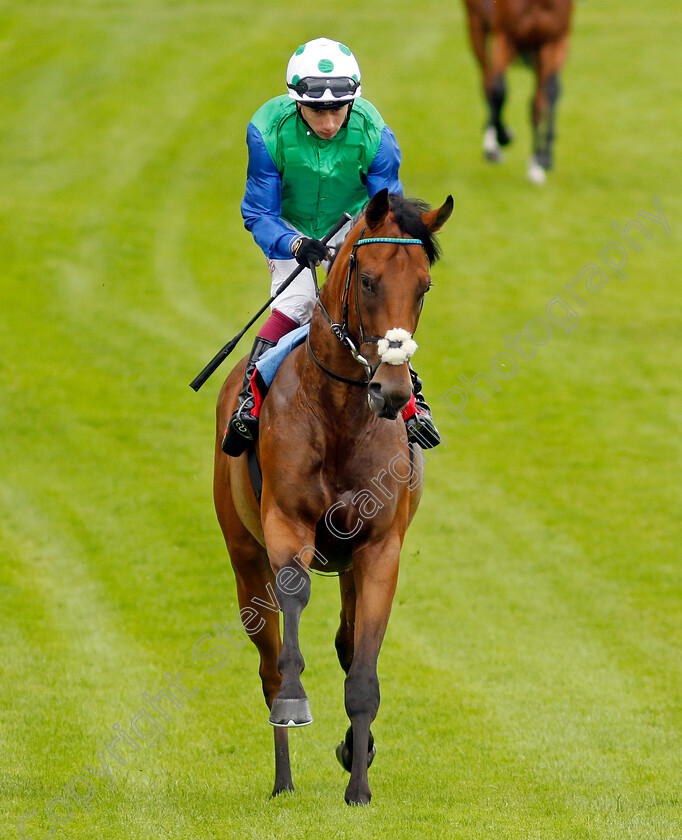 Kings-Valley-0002 
 KINGS VALLEY (Oisin Murphy)
Sandown 27 Jul 2023 - Pic Steven Cargill / Racingfotos.com