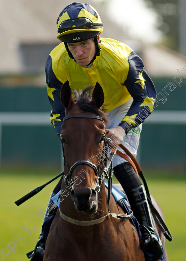 Fast-Bullet-0001 
 FAST BULLET (Paddy Bradley)
Yarmouth 18 Sep 2024 - Pic Steven Cargill / Racingfotos.com