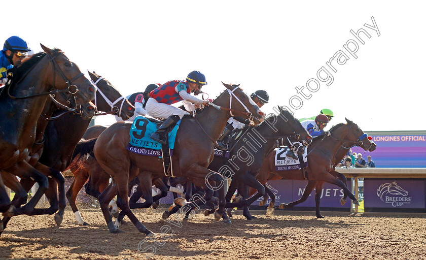 Grand-Love-and-You re-My-Girl-0001 
 GRAND LOVE (left, Florent Geroux) and YOU'RE MY GIRL (right, John Velazquez)
Keeneland USA, 4 Nov 2022 - Pic Steven Cargill / Racingfotos.com