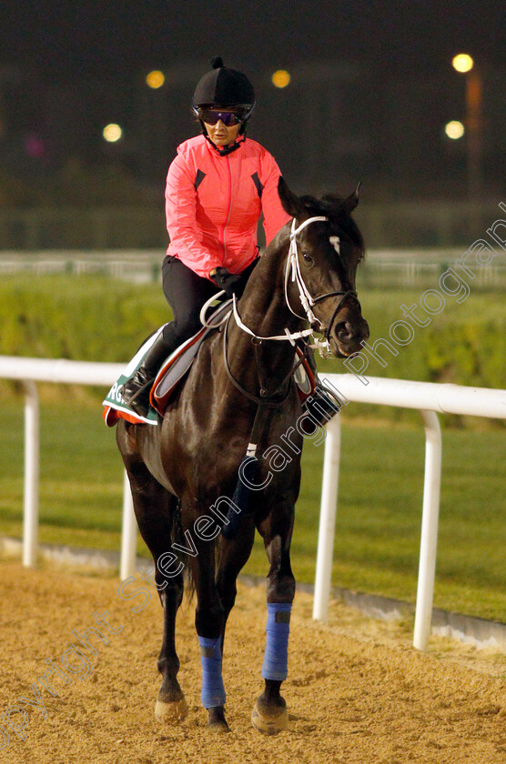 Burgas-0001 
 BURGAS training for the Sheema Classic
Meydan, Dubai, 23 Mar 2022 - Pic Steven Cargill / Racingfotos.com