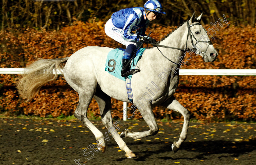 Spanish-Vega-0001 
 SPANISH VEGA (Benoit de la Sayette)
Kempton 13 Dec 2023 - Pic Steven Cargill / Racingfotos.com