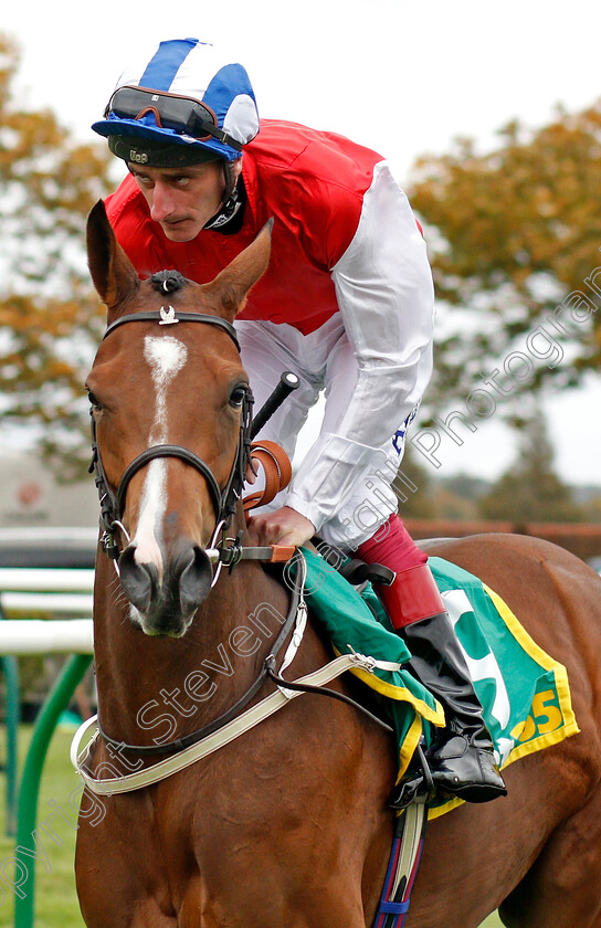 West-End-Girl-0001 
 WEST END GIRL (Adam Kirby)
11 Oct 2019 - Pic Steven Cargill / Racingfotos.com