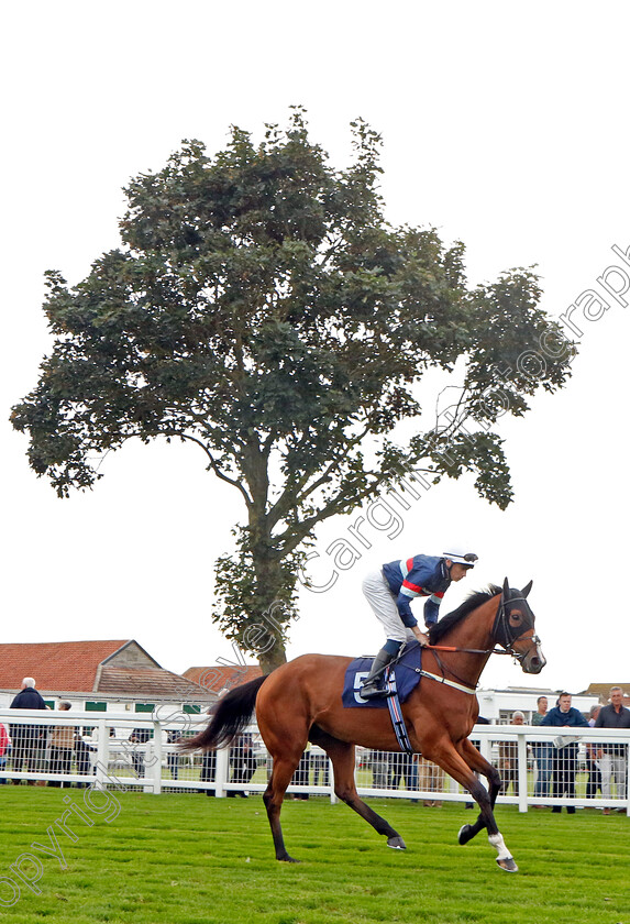 Bunker-Bay-0001 
 BUNKER BAY (Callum Shepherd)
Yarmouth 21 Sep 2023 - Pic Steven Cargill / Racingfotos.com