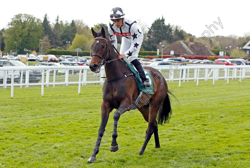 Cite-d Or-0001 
 CITE D'OR (Pierre-Louis Jamin)
Epsom 25 Apr 2023 - Pic Steven Cargill / Racingfotos.com