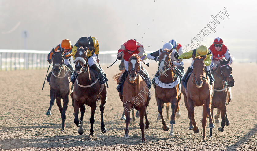 Torochica-0001 
 TOROCHICA (centre, Charles Bishop) beats OSLO (left) in The Betway Casino Handicap
Lingfield 9 Jan 2021 - Pic Steven Cargill / Racingfotos.com