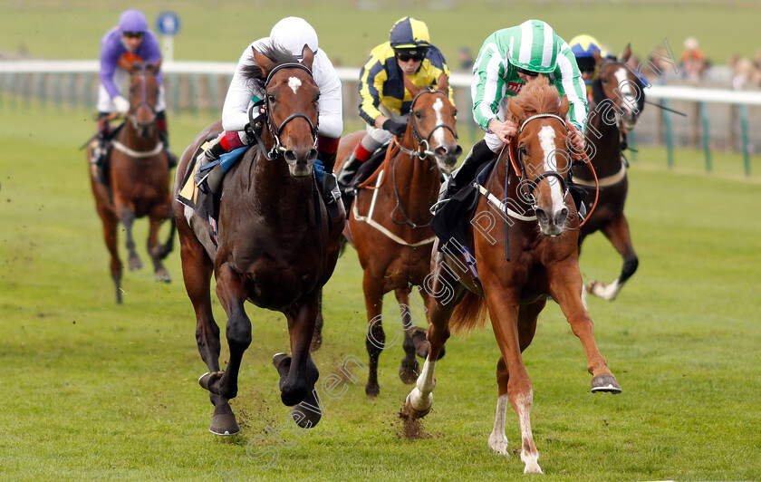 The-Olympian-0003 
 THE OLYMPIAN (right, Martin Harley) beats TRAVEL ON (left) in The Aptus Investment Fund Maiden Stakes
Newmarket 24 Oct 2018 - Pic Steven Cargill / Racingfotos.com