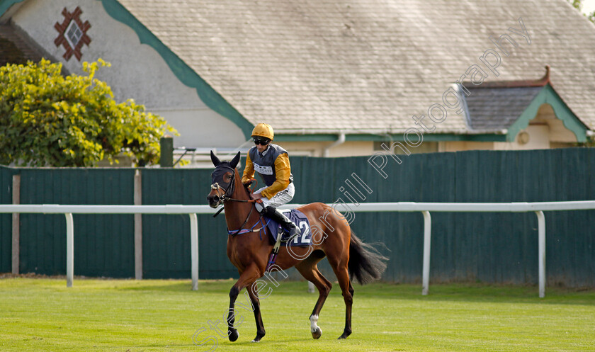 Stylish-Affair-0001 
 STYLISH AFFAIR (Daniel Tudhope)
Yarmouth 18 Sep 2024 - Pic Steven Cargill / Racingfotos.com