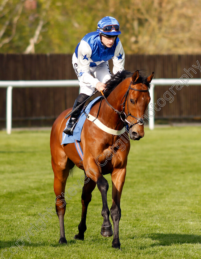 Mumayaz 
 MUMAYAZ (Richard Kingscote)
Leicester 23 Apr 2022 - Pic Steven Cargill / Racingfotos.com