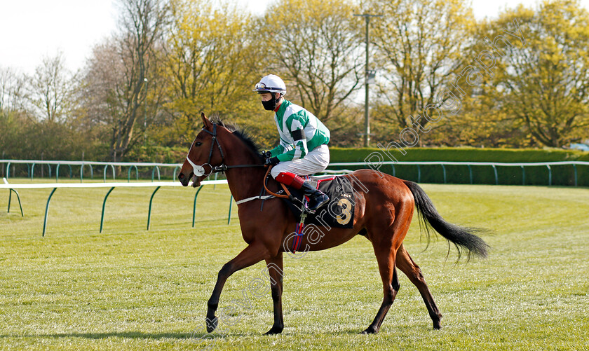 Devon-Envoy-0001 
 DEVON ENVOY (David Egan)
Nottingham 17 Apr 2021 - Pic Steven Cargill / Racingfotos.com