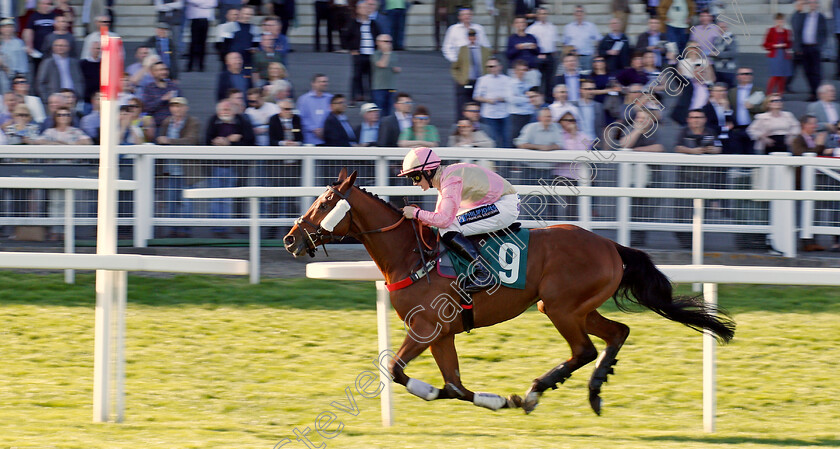 Magic-Dancer-0001 
 MAGIC DANCER (Richard Patrick) wins The Cheltenham Pony Racing Authority Graduates Handicap Hurdle Cheltenham 18 Apr 2018 - Pic Steven Cargill / Racingfotos.com