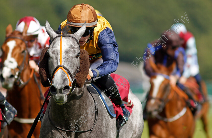 Pedro-Valentino-0001 
 PEDRO VALENTINO (Richard Kingscote) wins The Betfred Supports Jack Berry House Handicap
Haydock 8 Jun 2024 - Pic Steven Cargill / Racingfotos.com