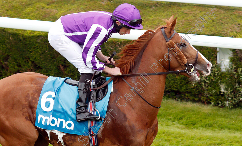 Norway-0001 
 NORWAY (Ryan Moore)
Chester 8 May 2019 - Pic Steven Cargill / Racingfotos.com