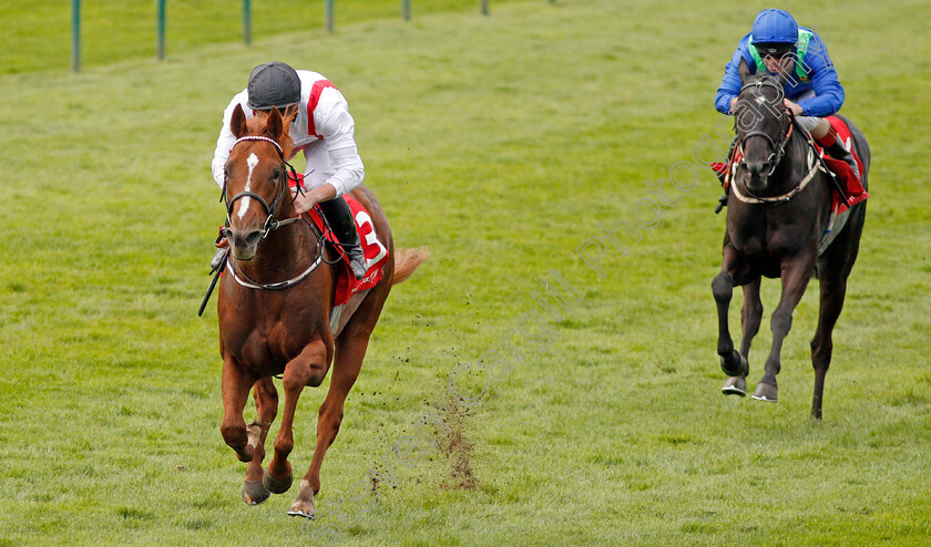 Convict-0006 
 CONVICT (Tom Marquand) wins The Matchbook EBF Future Stayers Nursery 
Newmarket 23 Oct 2019 - Pic Steven Cargill / Racingfotos.com