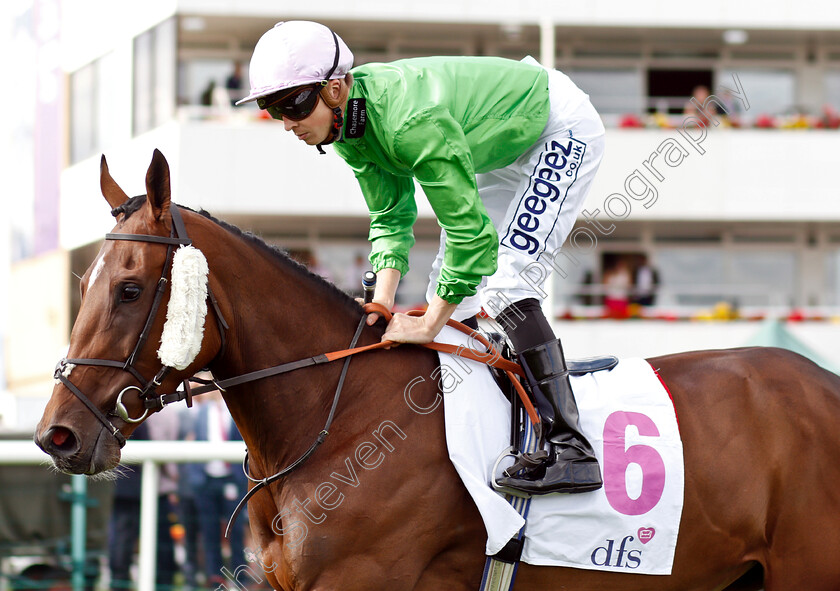 Galmarley-0001 
 GALMARLEY (David Probert)
Doncaster 13 Sep 2018 - Pic Steven Cargill / Racingfotos.com