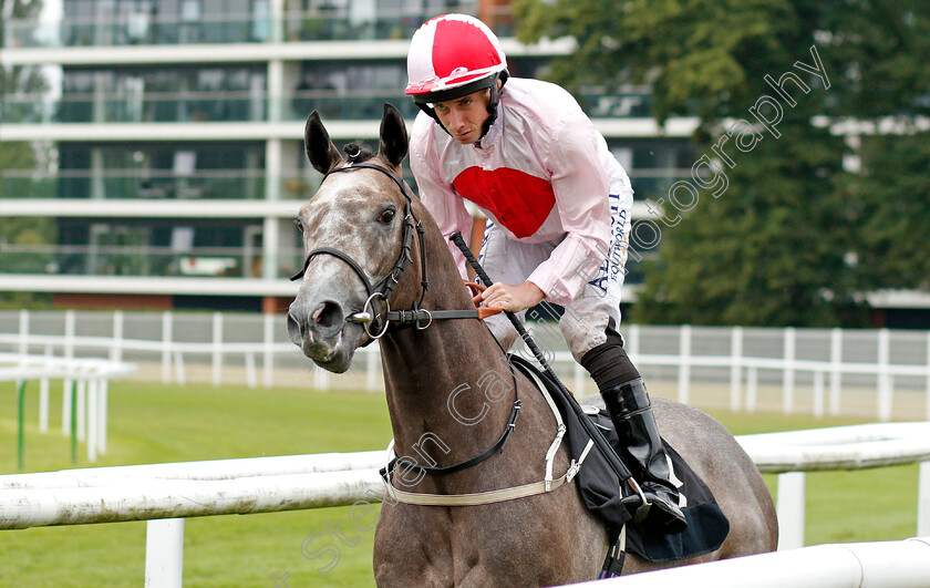 Misty-Grey-0001 
 MISTY GREY (Ryan Moore)
Newbury 19 Jul 2019 - Pic Steven Cargill / Racingfotos.com