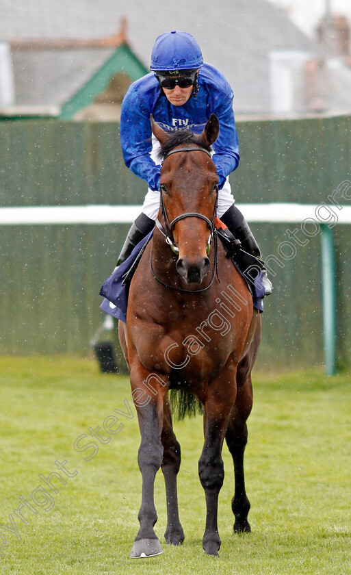 Al-Reef-0001 
 AL REEF (Pat Cosgrave) Yarmouth 24 Apr 2018 - Pic Steven Cargill / Racingfotos.com