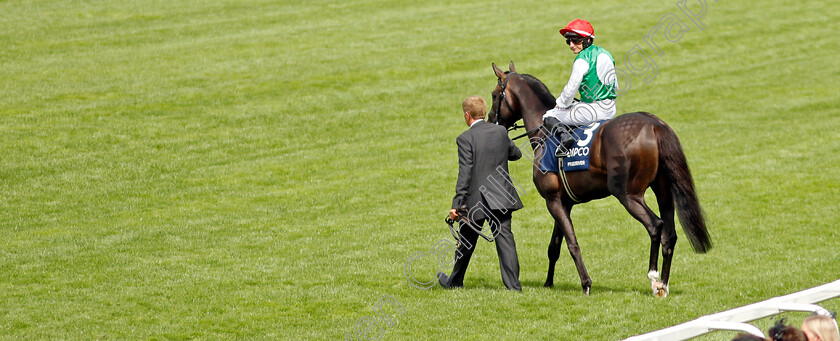 Pyledriver-0001 
 PYLEDRIVER (P J McDonald) parades before winning The King George VI & Queen Elizabeth Qipco Stakes
Ascot 23 Jul 2022 - Pic Steven Cargill / Racingfotos.com