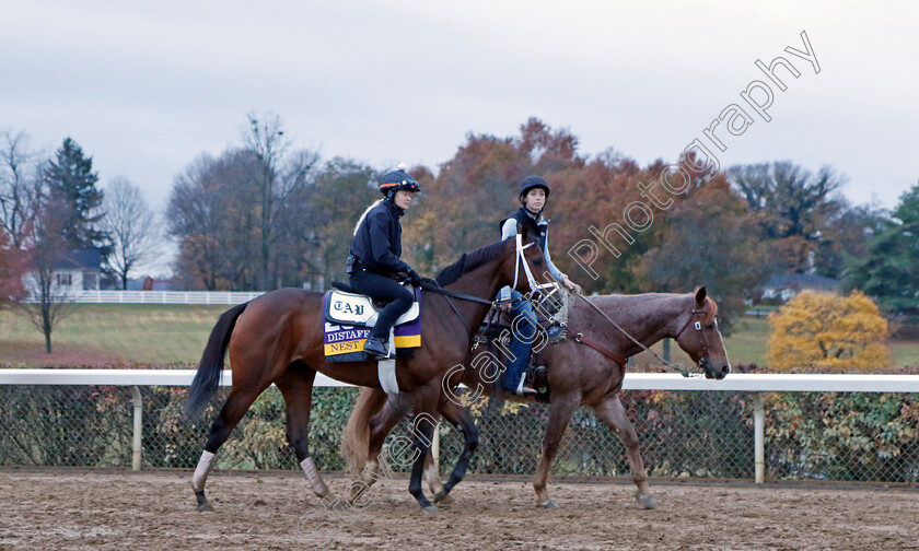 Nest-0001 
 NEST training for the Breeders' Cup Distaff
Keeneland, USA 31 Oct 2022 - Pic Steven Cargill / Racingfotos.com