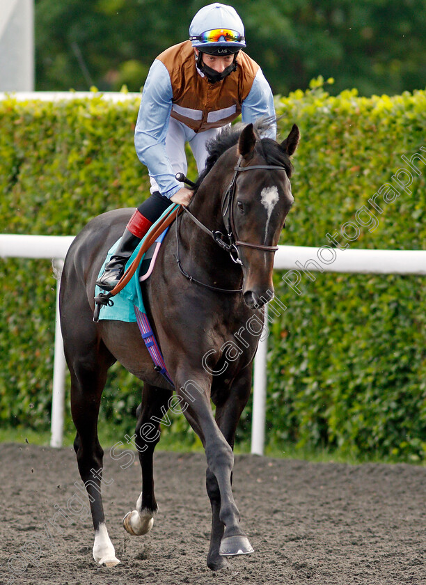 St-George s-Bay-0001 
 ST GEORGE'S BAY (Edward Greatrex)
Kempton 2 Jun 2021 - Pic Steven Cargill / Racingfotos.com