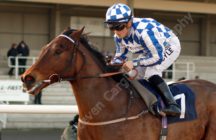 Divine-Call-0004 
 DIVINE CALL (Hollie Doyle) wins The Betway Heed Your Hunch Handicap
Southwell 11 Dec 2018 - Pic Steven Cargill / Racingfotos.com