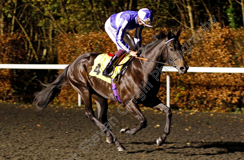 Invincible-Memory-0001 
 INVINCIBLE MEMORY (Rob Hornby)
Kempton 4 Dec 2024 - Pic Steven Cargill / Racingfotos.com