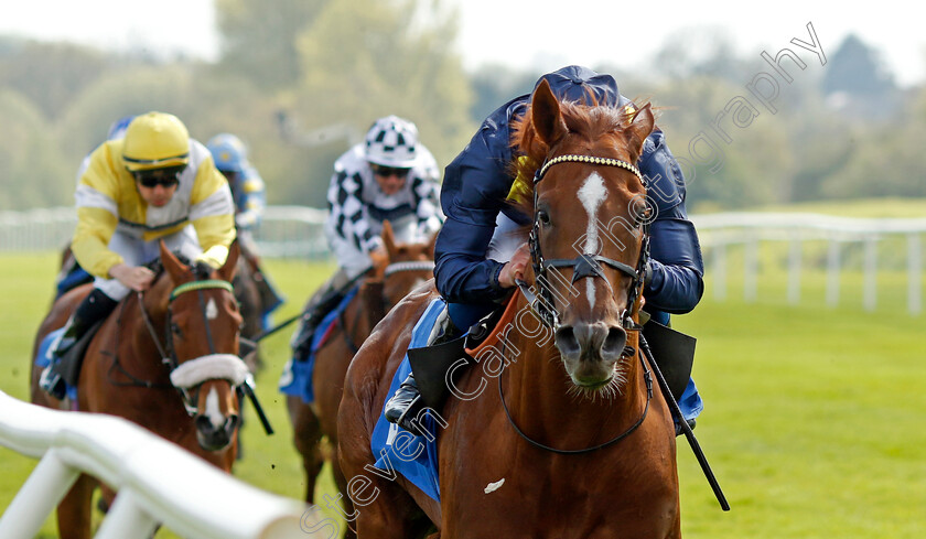 Al-Mubhir-0004 
 AL MUBHIR (William Buick) wins The Madri Excepcional King Richard III Cup Handicap
Leicester 29 Apr 2023 - Pic Steven Cargill / Racingfotos.com