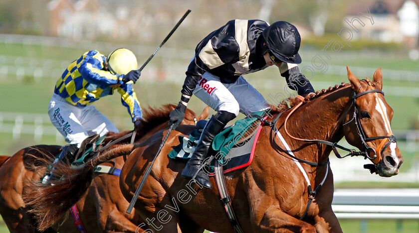 Winter-Lion-0005 
 WINTER LION (Paddy Brennan) wins The Nicholson Holman Handicap Chase Cheltenham 18 Apr 2018 - Pic Steven Cargill / Racingfotos.com