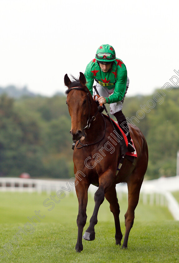 Conspiritor-0001 
 CONSPIRITOR (Richard Kingscote)
Sandown 30 May 2019 - Pic Steven Cargill / Racingfotos.com