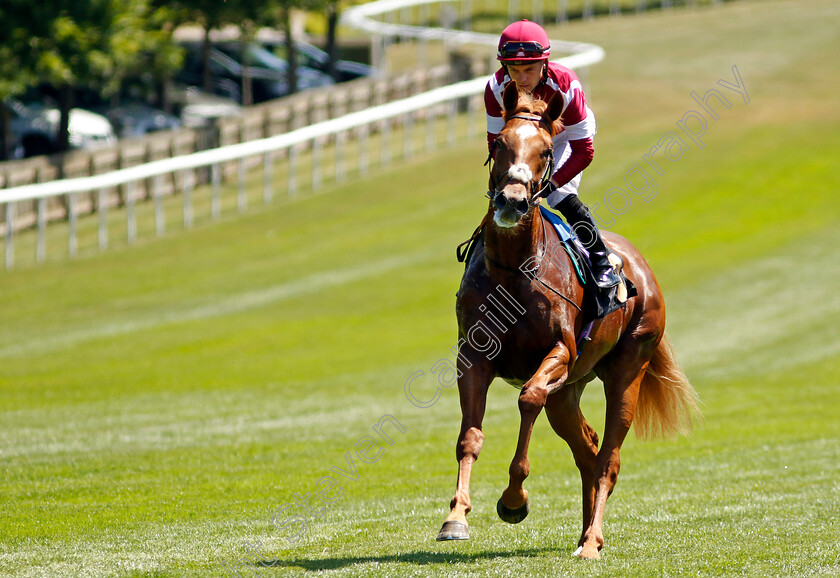 Ezaj-0001 
 EZAJ (Ray Dawson)
Newmarket 8 Jul 2022 - Pic Steven Cargill / Racingfotos.com