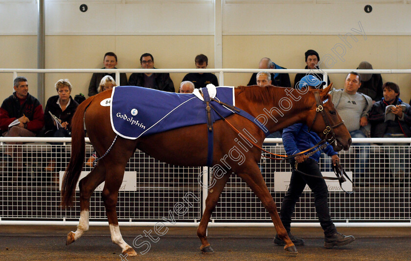 Lot-0084-Dice-Game-£6000-0001 
 Lot 084 DICE GAME selling for £6000 at Tattersalls Ireland Ascot November Sale 9 Nov 2017 - Pic Steven Cargill / Racingfotos.com