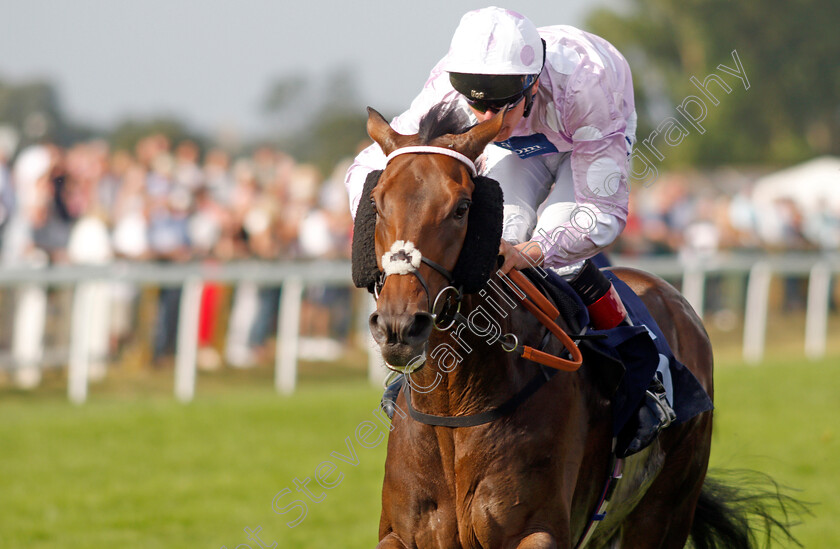 Pleasant-Man-0006 
 PLEASANT MAN (Adam Kirby) wins The Follow @attheraces On Twitter Handicap
Yarmouth 16 Sep 2021 - Pic Steven Cargill / Racingfotos.com