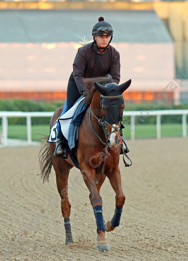 Silent-Film-0001 
 SILENT FILM training at the Dubai Racing Carnival
Meydan 1 Feb 2024 - Pic Steven Cargill / Racingfotos.com