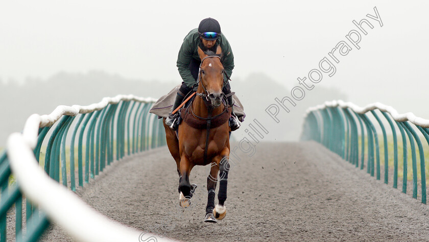 Knight-To-Behold-0005 
 KNIGHT TO BEHOLD, ridden by Mohammed Abdul Qazafi Mirza, on the gallops in preparation for The investec Derby
Lambourn 31 May 2018 - Pic Steven Cargill / Racingfotos.com