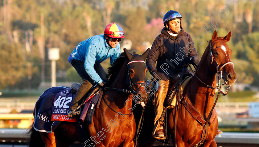 Fanny-Logan-0005 
 FANNY LOGAN (Frankie Dettori) training for the Breeders' Cup Filly & Mare Turf
Santa Anita USA 30 Oct 2019 - Pic Steven Cargill / Racingfotos.com