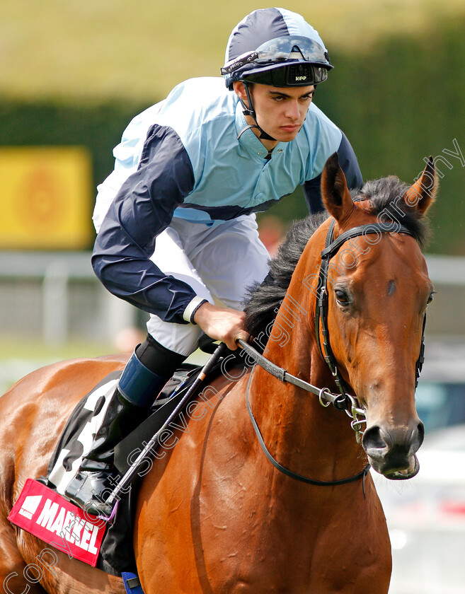 Alligator-Alley-0001 
 ALLIGATOR ALLEY (Donnacha O'Brien)
Goodwood 31 Jul 2019 - Pic Steven Cargill / Racingfotos.com