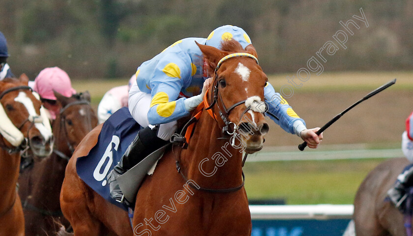 Sassy-Redhead-0001 
 SASSY REDHEAD (Jack Gilligan) wins The BetUk Home Of The Acca-Fenwa Handicap
Lingfield 23 Dec 2023 - Pic Steven Cargill / Racingfotos.com