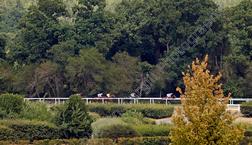 Pyledriver-0004 
 PYLEDRIVER (red cap, P J McDonald) wins The King George VI & Queen Elizabeth Qipco Stakes
Ascot 23 Jul 2022 - Pic Steven Cargill / Racingfotos.com