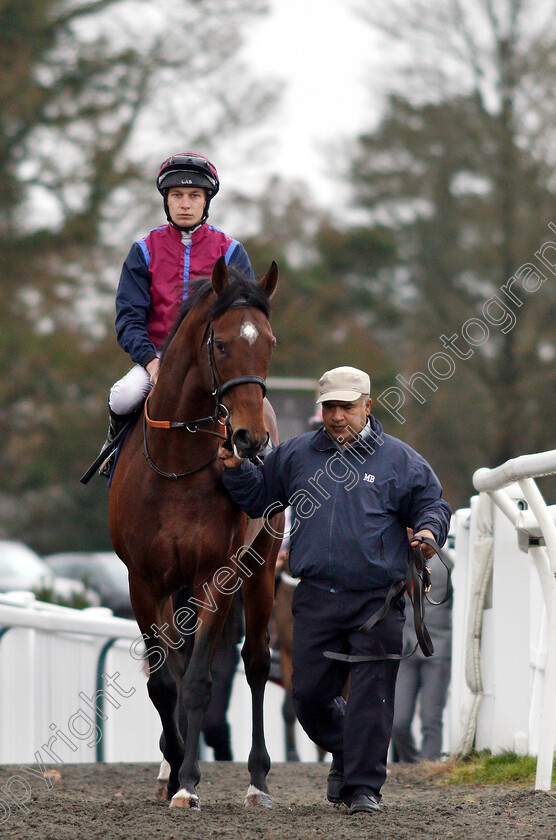 North-Face-0001 
 NORTH FACE (Luke Morris)
Lingfield 5 Dec 2018 - Pic Steven Cargill / Racingfotos.com