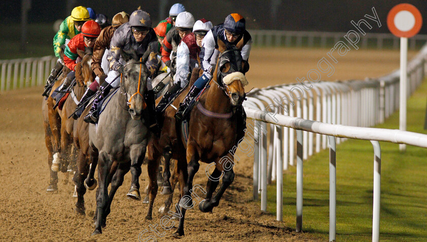 Viking-Prince-and-Chinese-Alphabet-0002 
 A circuit to go at Wolverhampton, CHINESE ALPHABET (right, Alistair Rawlinson) with VIKING PRINCE (left, Graham Lee)
26 Nov 2019 - Pic Steven Cargill / Racingfotos.com