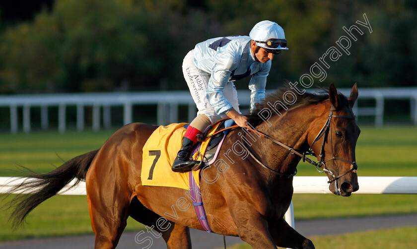 Nell-The-Thief-0001 
 NELL THE THIEF (Andrea Atzeni)
Kempton 4 Aug 2021 - Pic Steven Cargill / Racingfotos.com