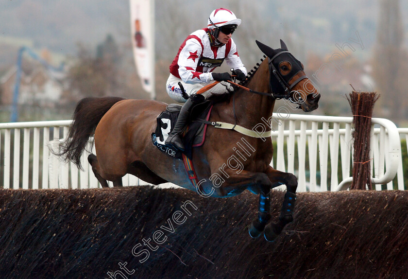 Doitforthevillage-0001 
 DOITFORTHEVILLAGE (Tom O'Brien)
Cheltenham 16 Nov 2018 - Pic Steven Cargill / Racingfotos.com