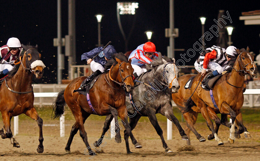 Rangali-Island-0003 
 RANGALI ISLAND (left, Callum Shepherd) beats GLENN COCO (centre) and MERCHANT OF VENICE (right) in The Bet totetrifecta At totesport.com Handicap
Chelmsford 11 Jan 2020 - Pic Steven Cargill / Racingfotos.com